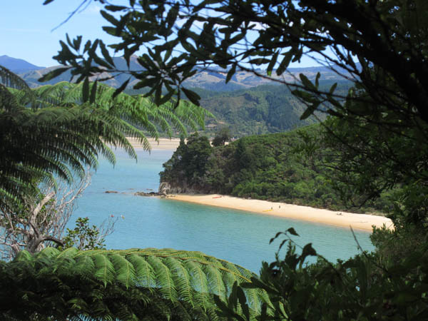 beaches of Abel Tasman National Park from a viewpoint on the track
