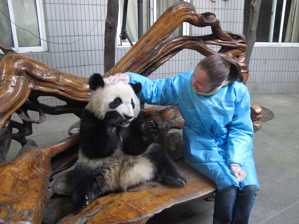 annie sitting with a panda next to her at a bench in the panda reserve in chengdu china