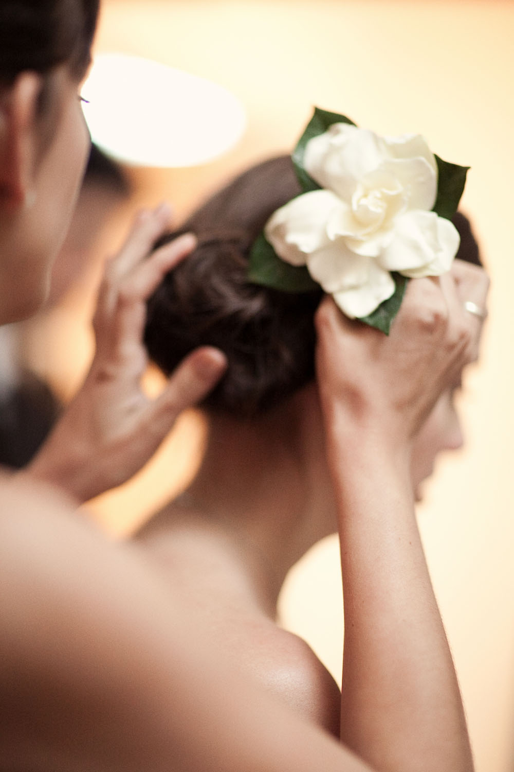 Wedding Gardenia, photo by Elisabeth Millay