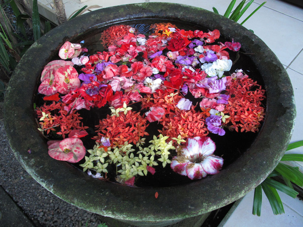 Balinese Flower Display