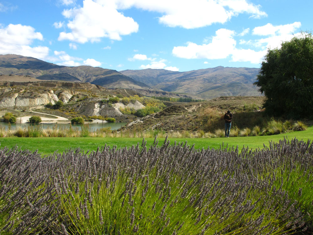 Central Otago from the Carrick Vineyards