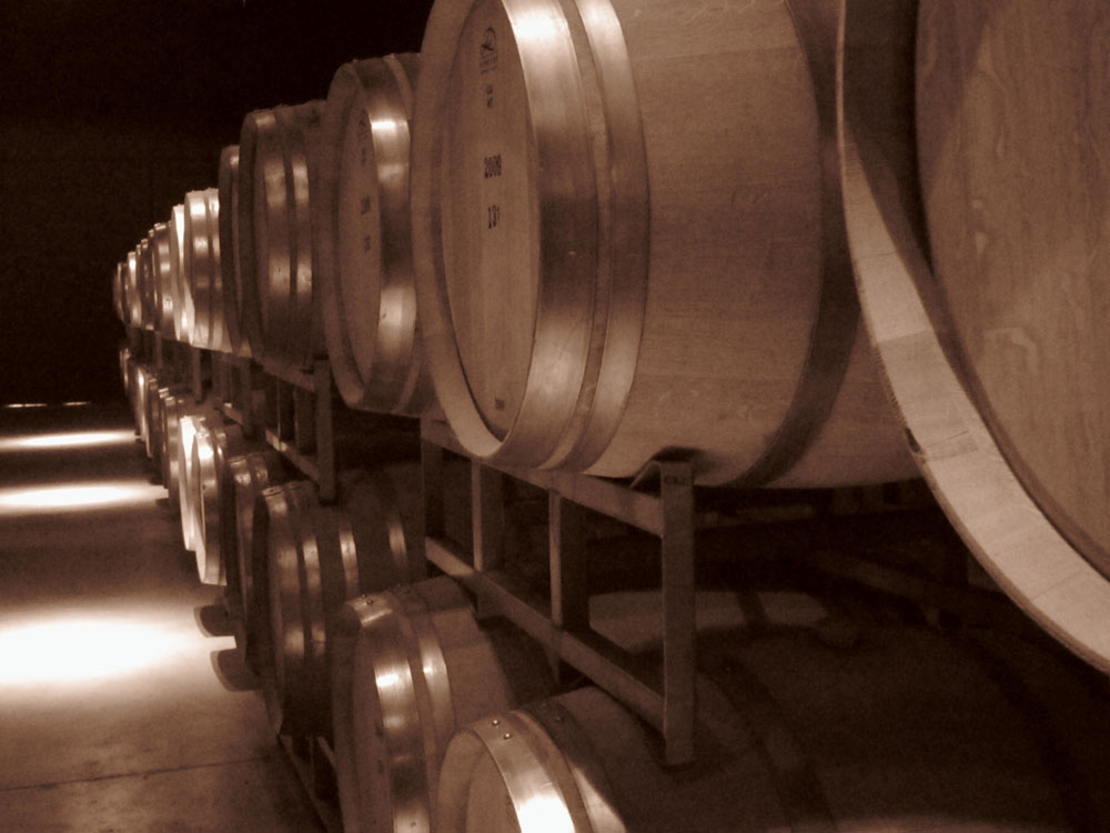 Wine Barrels at Atamisque winery in the uco valley of mendoza argentina