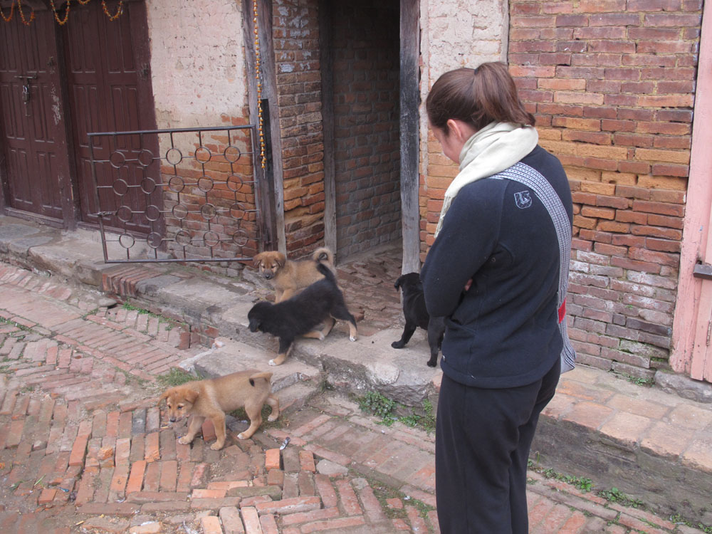 puppies in Bhaktapur Nepal