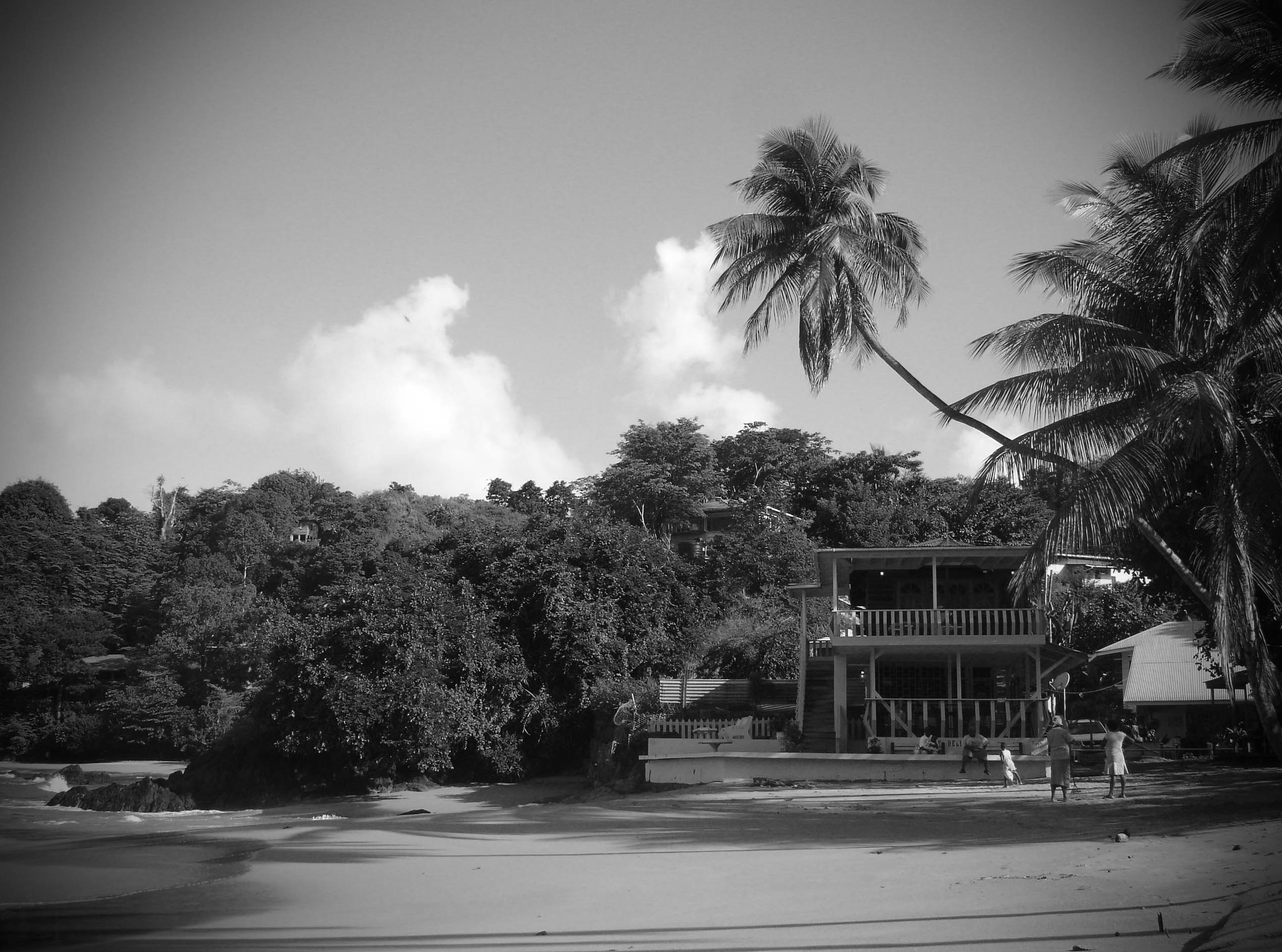 the naturalist resort on Castara Beach, Trinidad and Tobago