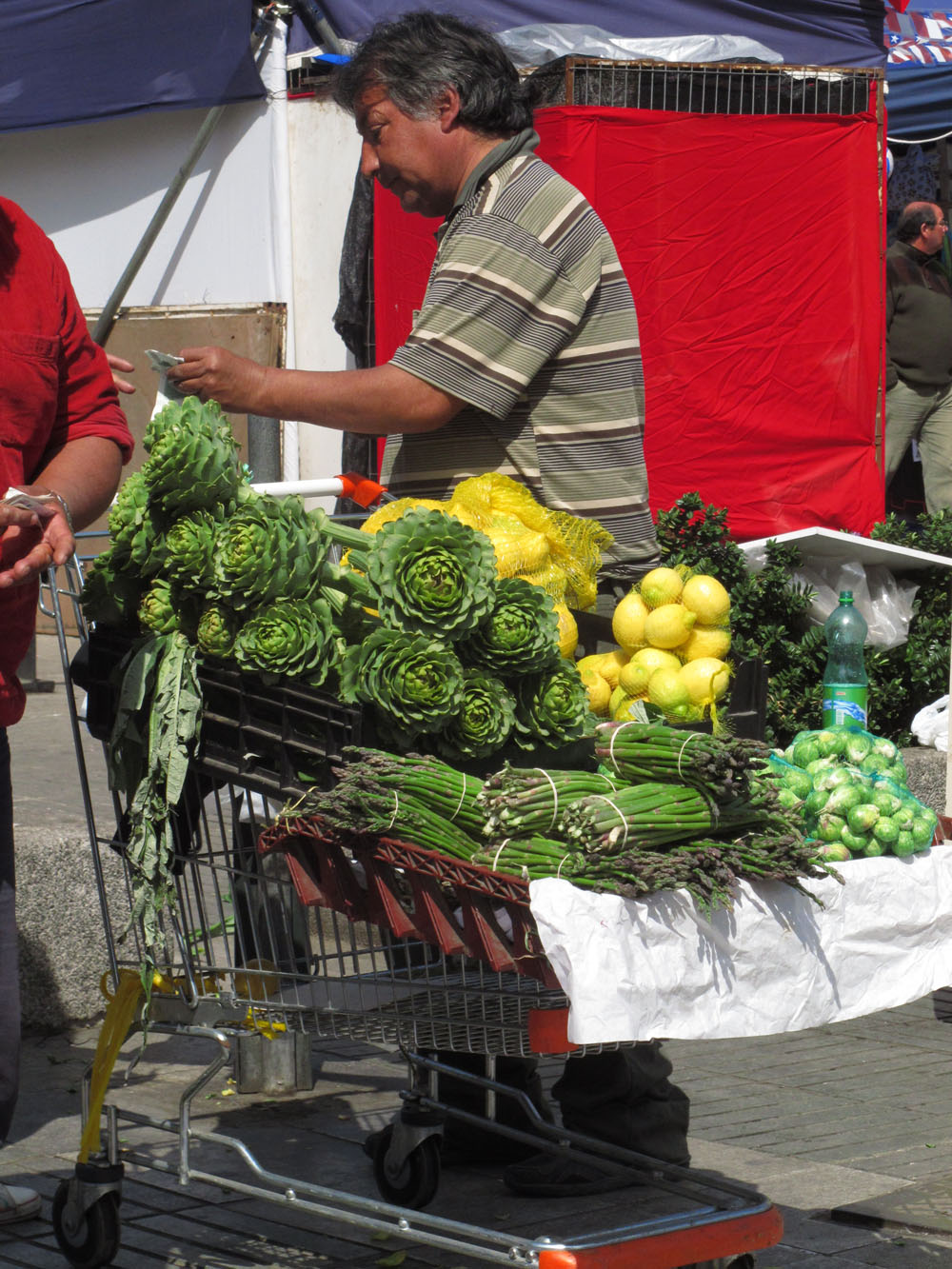 Chilean Artichokes Valparaiso