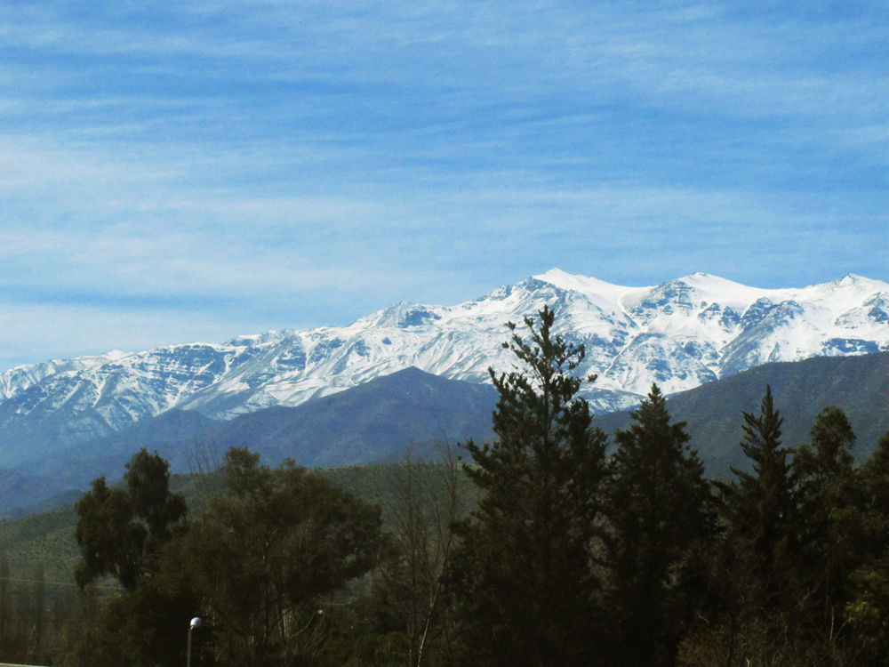 Andean Lowlands on the Chilean side