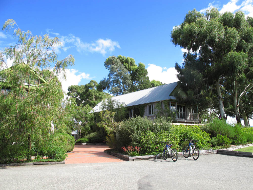 cloudy bay winery new zealand