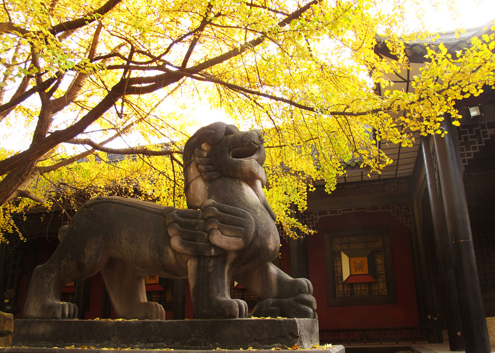 Dragon statue at Wuhou Temple Chengdu