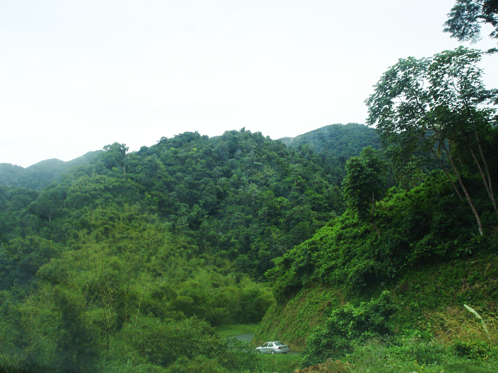driving through tobago