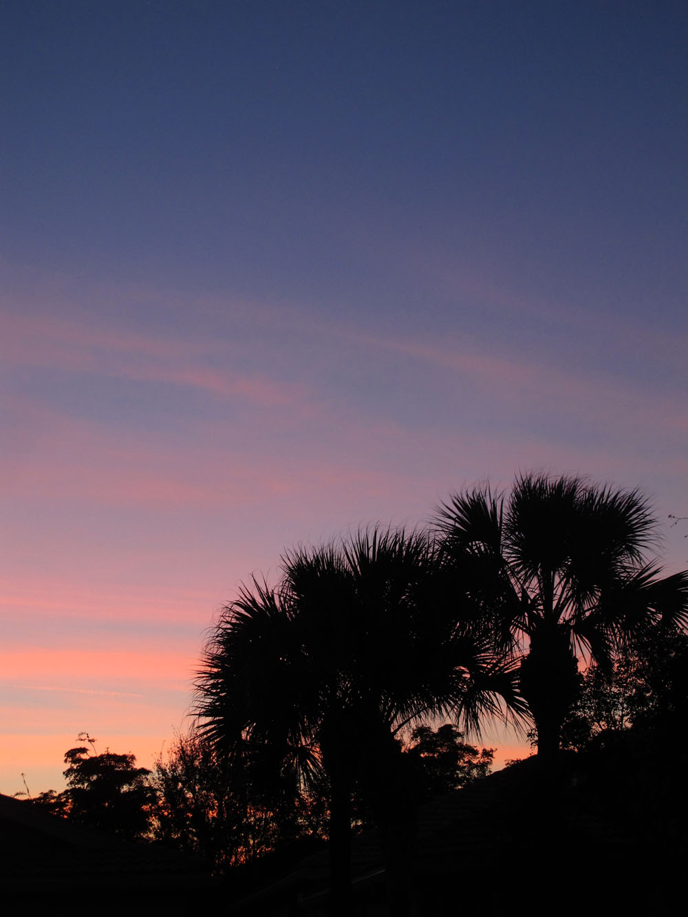 Floridian Sunset