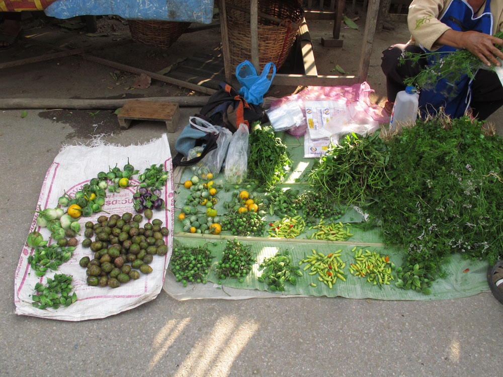 Herbs and Limes at the Pai Market