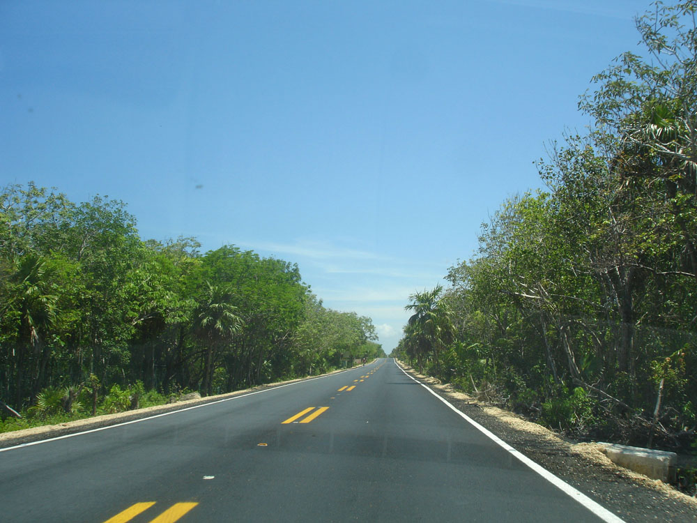 Quintana Roo, on the road to Tulum.
