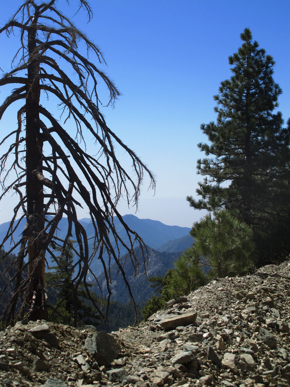 View from Mt Baldy, California