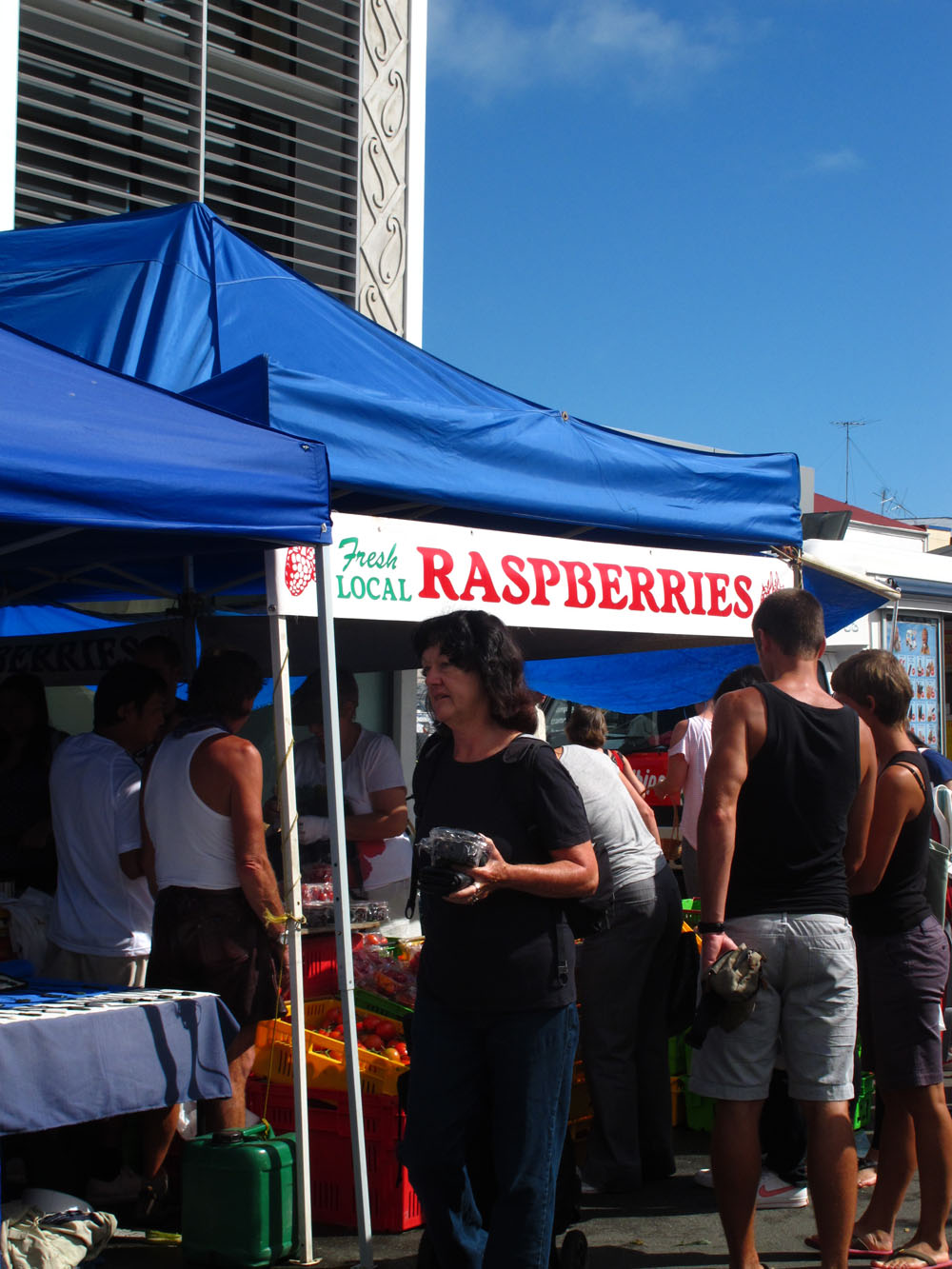 Fruit Stand at the Nelson Farmers Market New Zealand