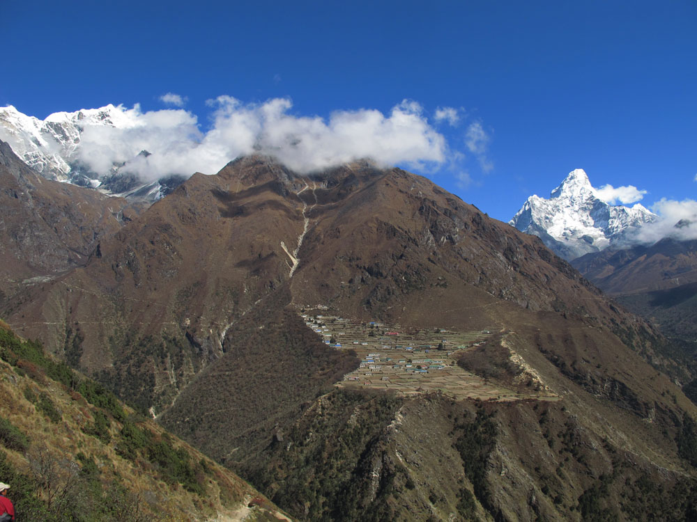 Phorse on a mountain ledge in the himalayas