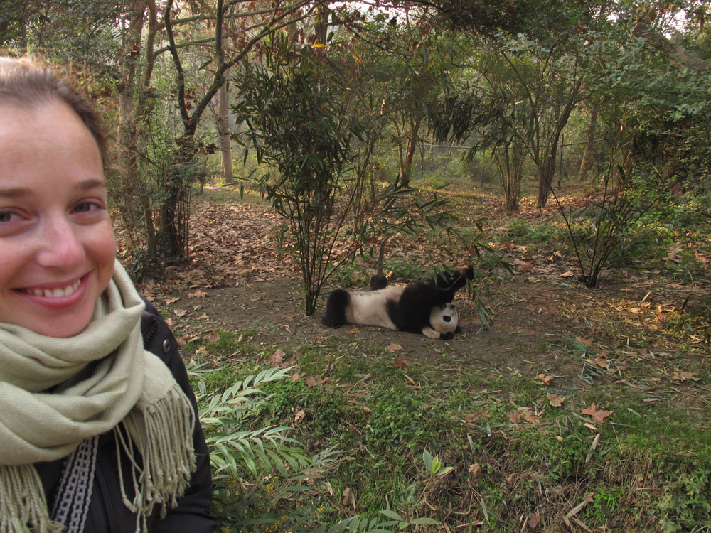 posing with a panda at the panda reserve in Chengdu China