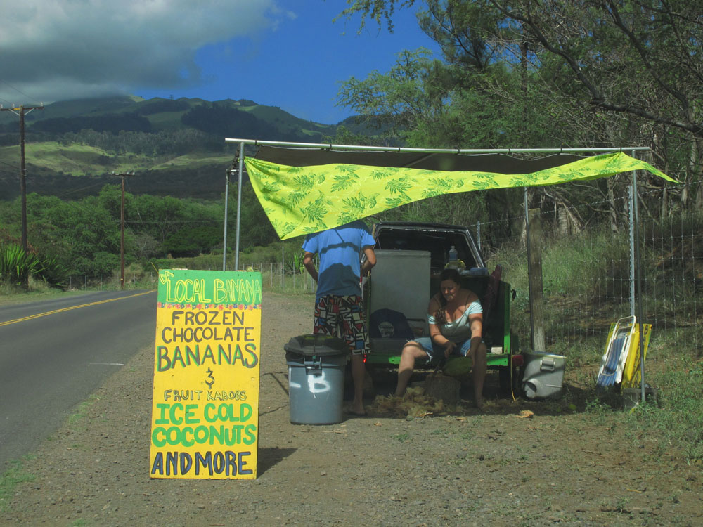 Roadside Coconut Stand, Maui Hawaii near Wailea
