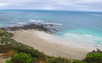 Aquamarine water at seal bay on Kangroo Island australia