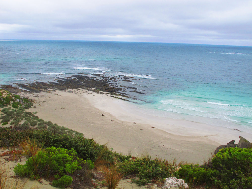 Aquamarine water at seal bay on Kangroo Island australia