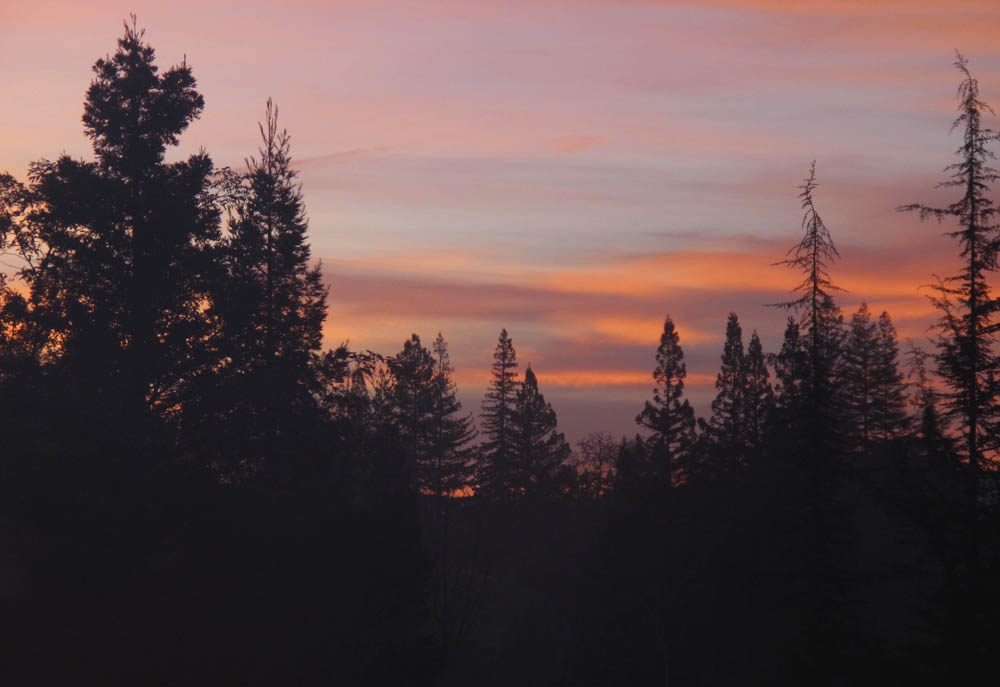 sunrise in alamo california