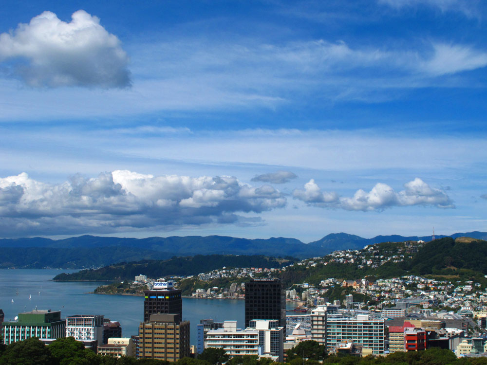 View Over Wellington New Zealand