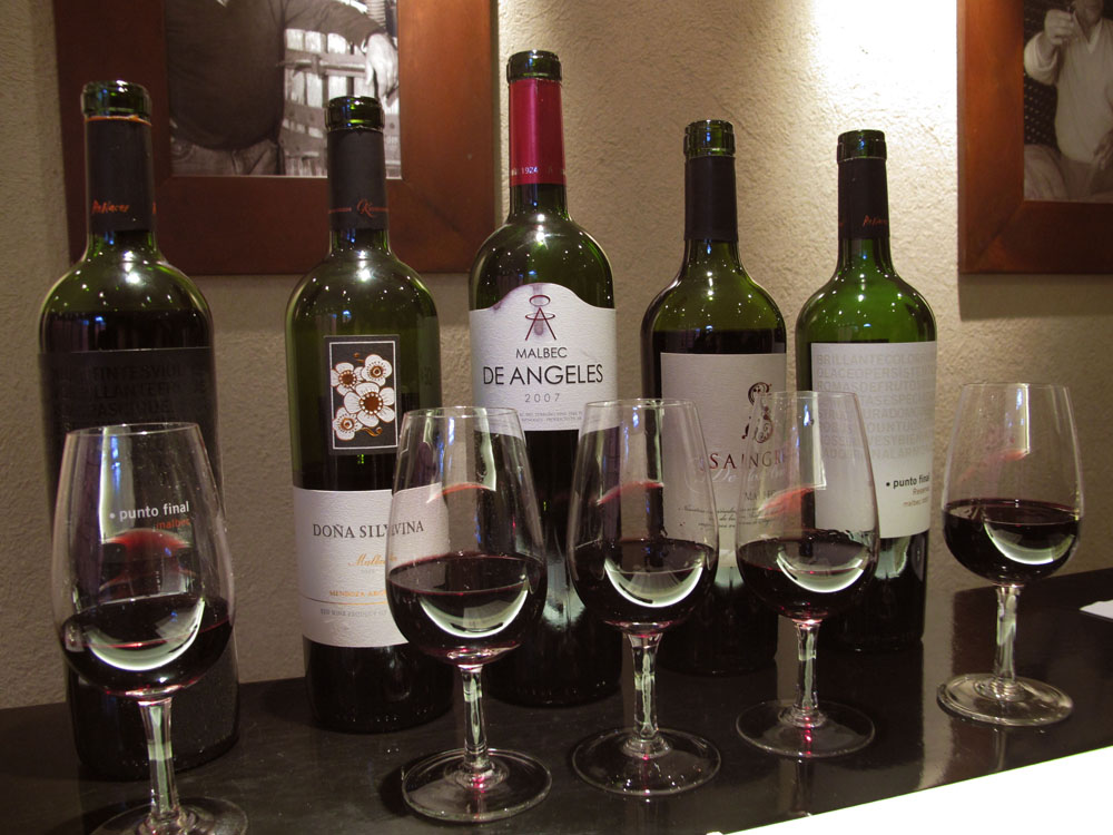 Vines of Mendoza Wine Tasting