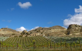 vineyards and mountains in central otago