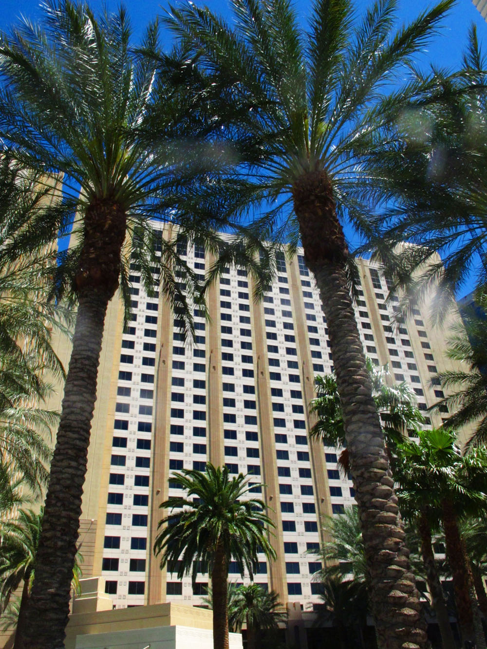View from a Las Vegas Poolside Lounge Chair
