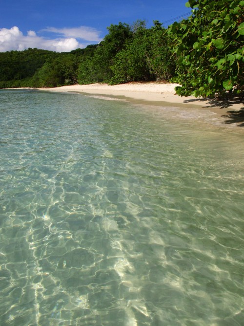 Clear water in Maho Bay St John