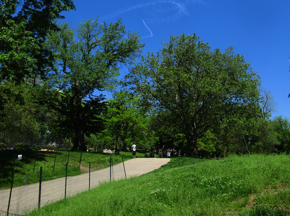 Fort Greene Park