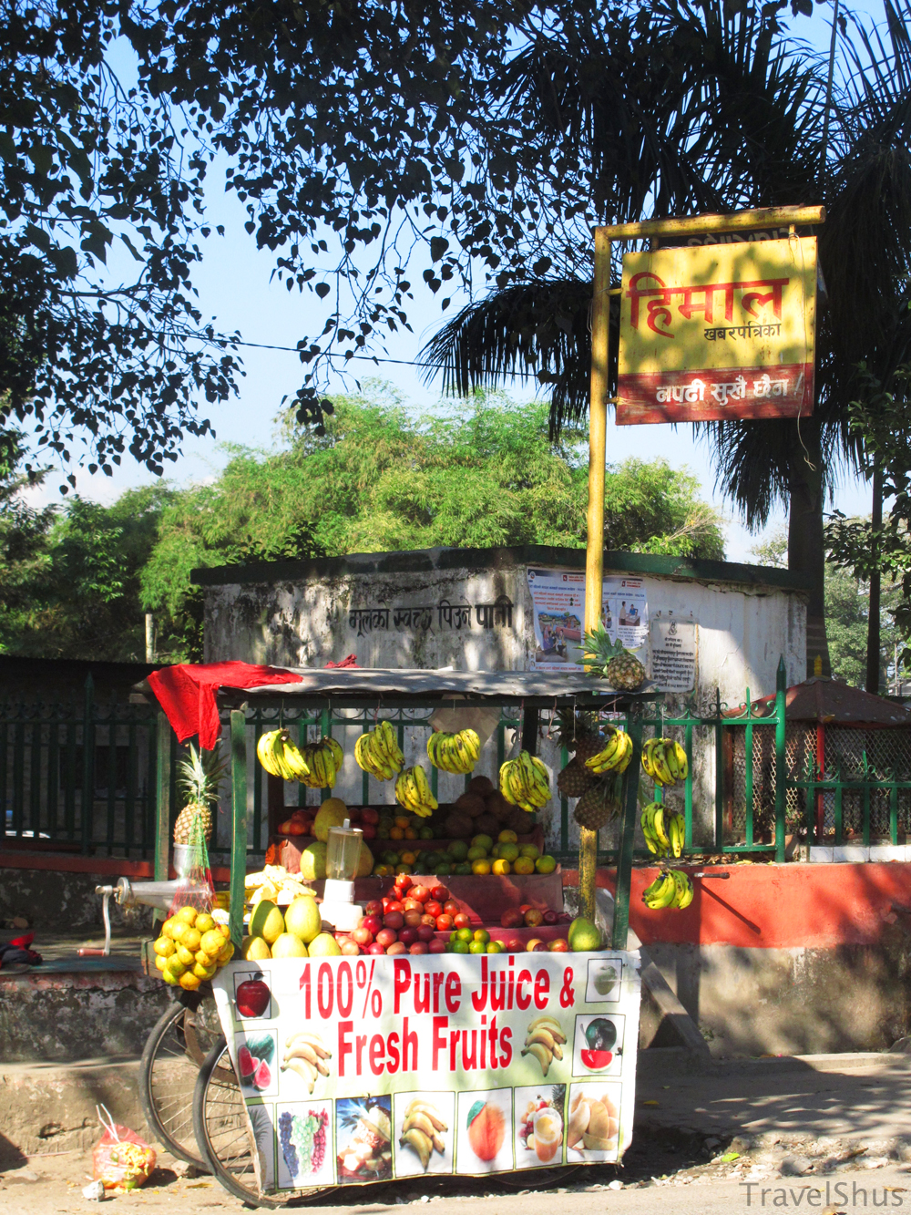 Fruit Juice Stand in Nepal