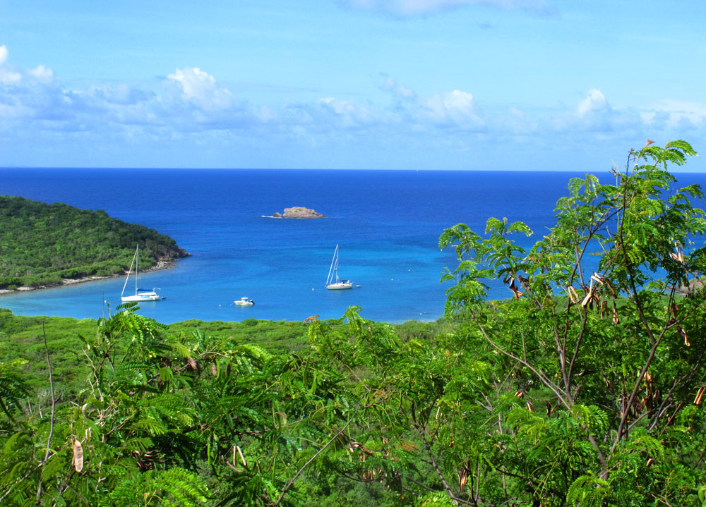 View over Salt Pond Bay |  St John, USVI