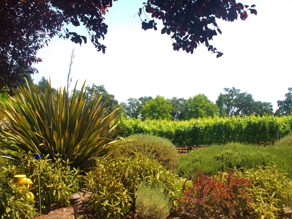 Duckhorn Gardens and Vineyards
