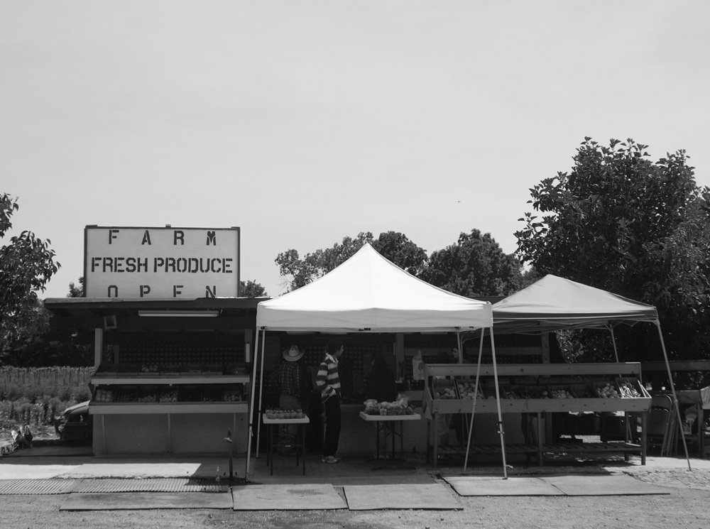 Farm Fresh Produce, Napa Valley, California