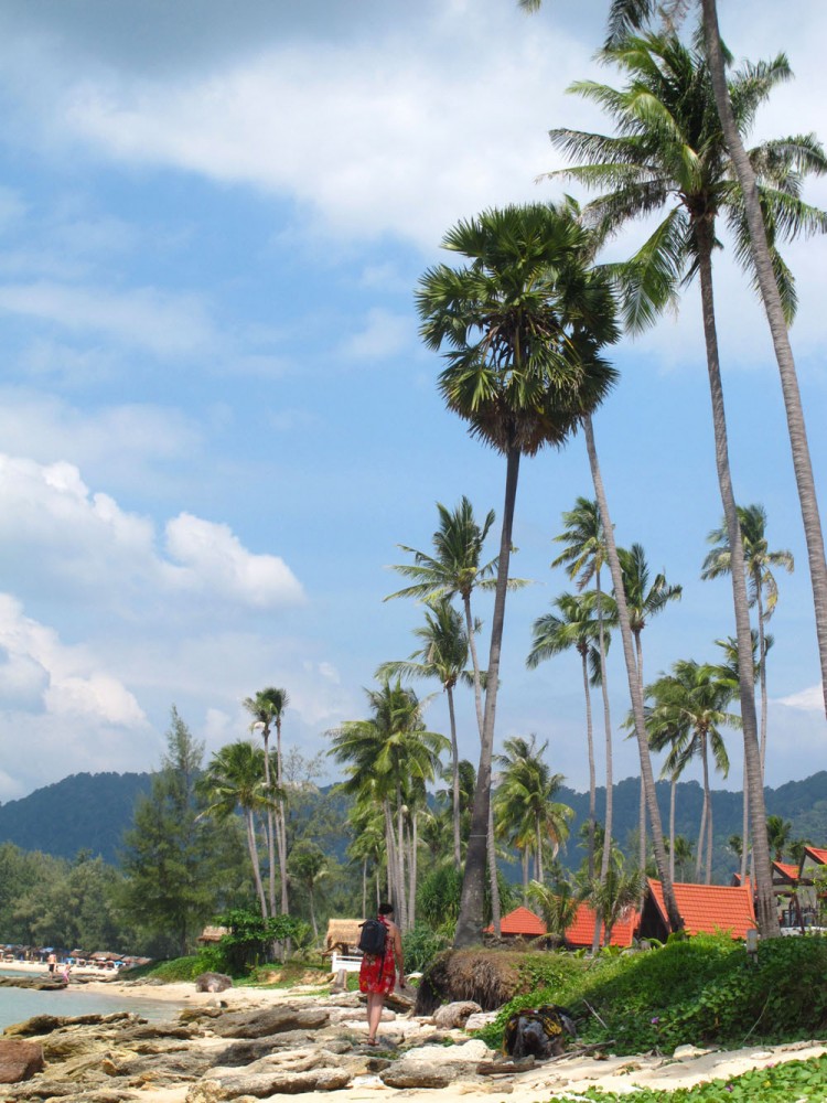 Koh Lanta, Thailand palm lined beach Koh Lanta, Thailand palm lined beach