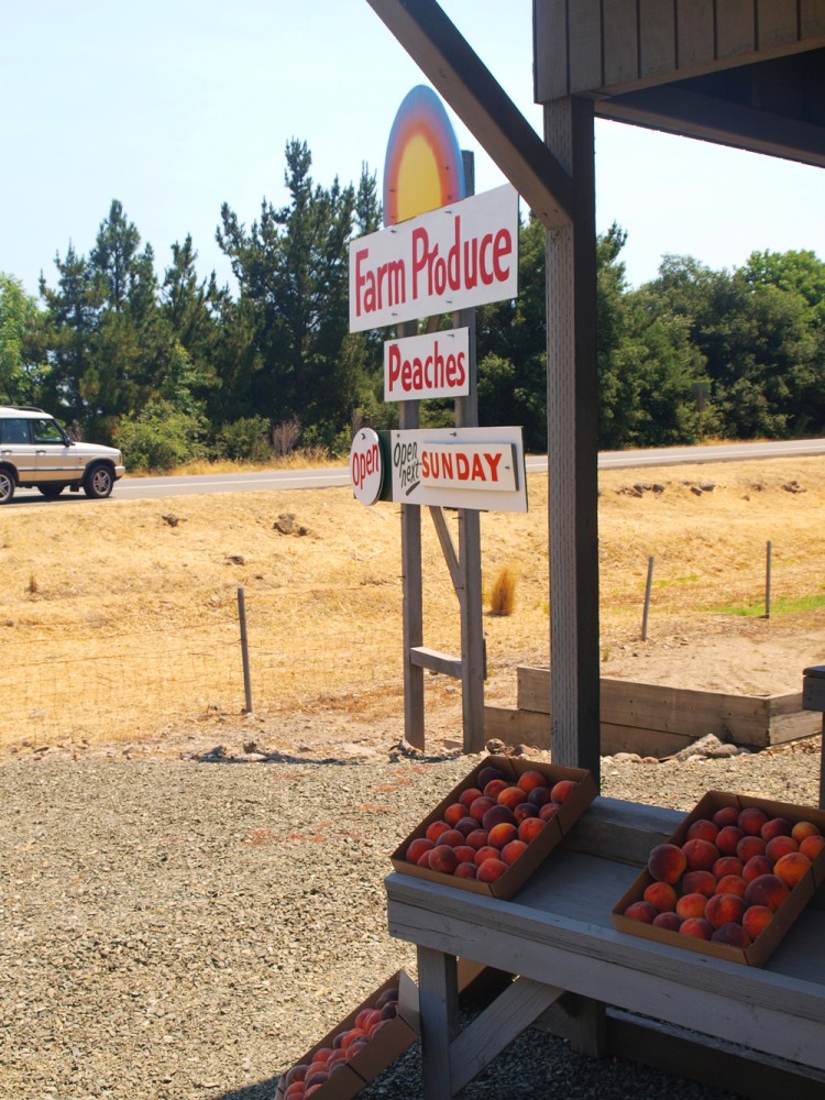 Peach market on the Silverado Trail, California Peach market on the Silverado Trail, California