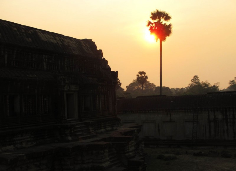 Siem Reap, Cambodia sunset palms Siem Reap, Cambodia sunset palms