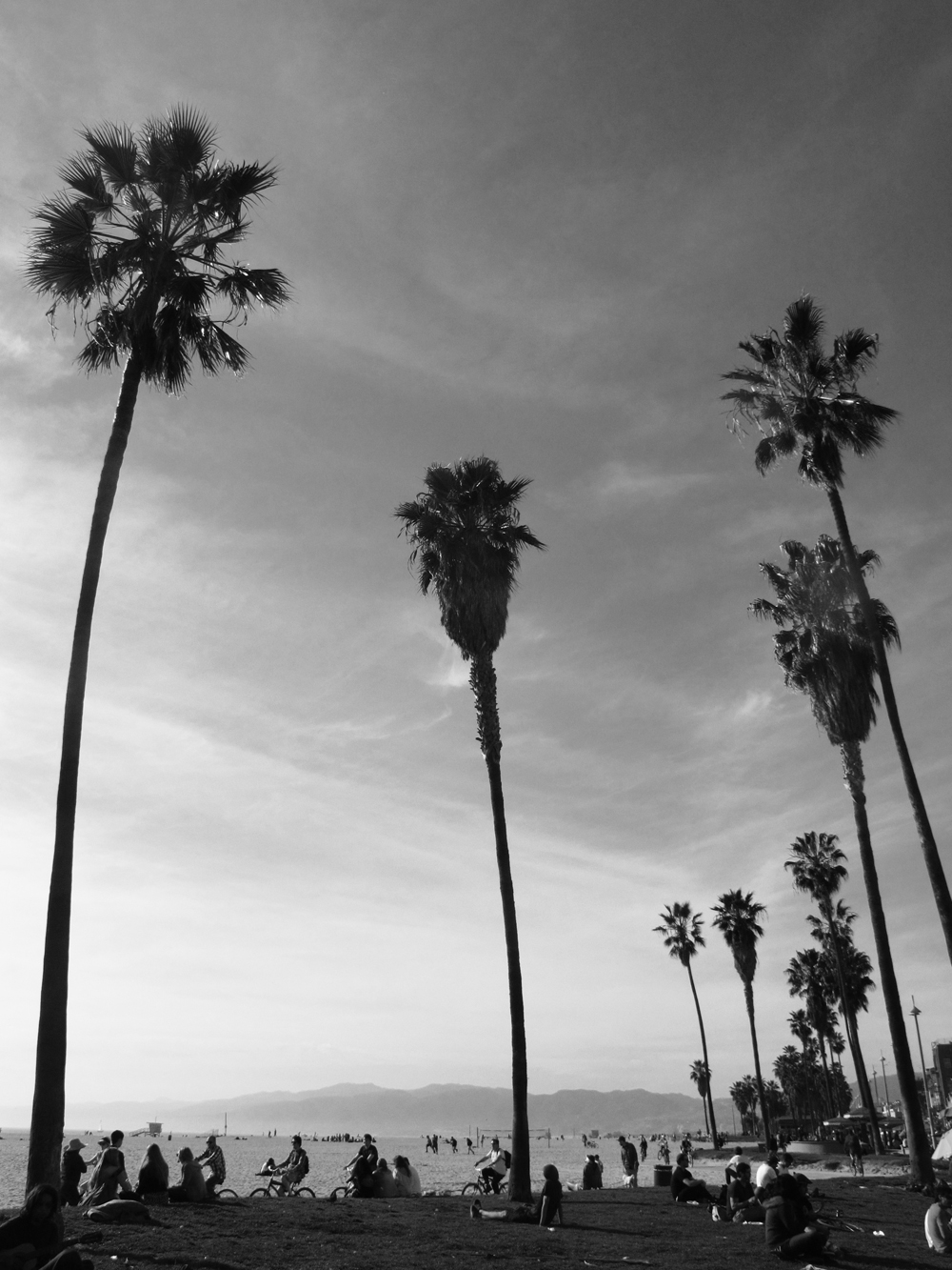 Venice Beach, California