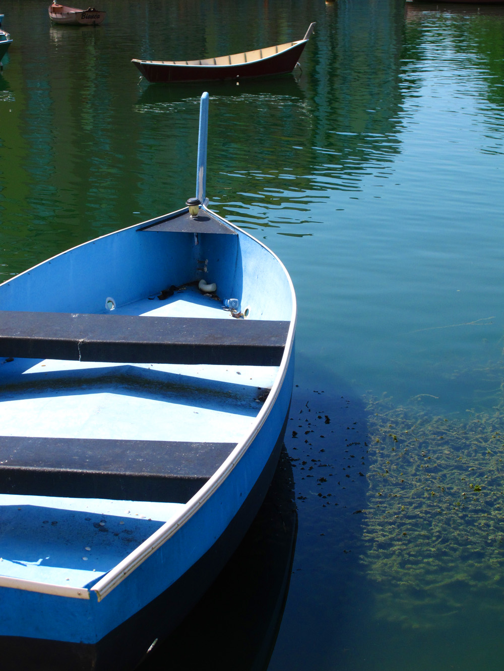 Boats in the Portofino Hotel harbour