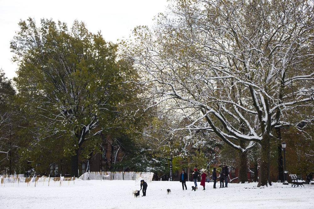 November Nor'easter in Brooklyn