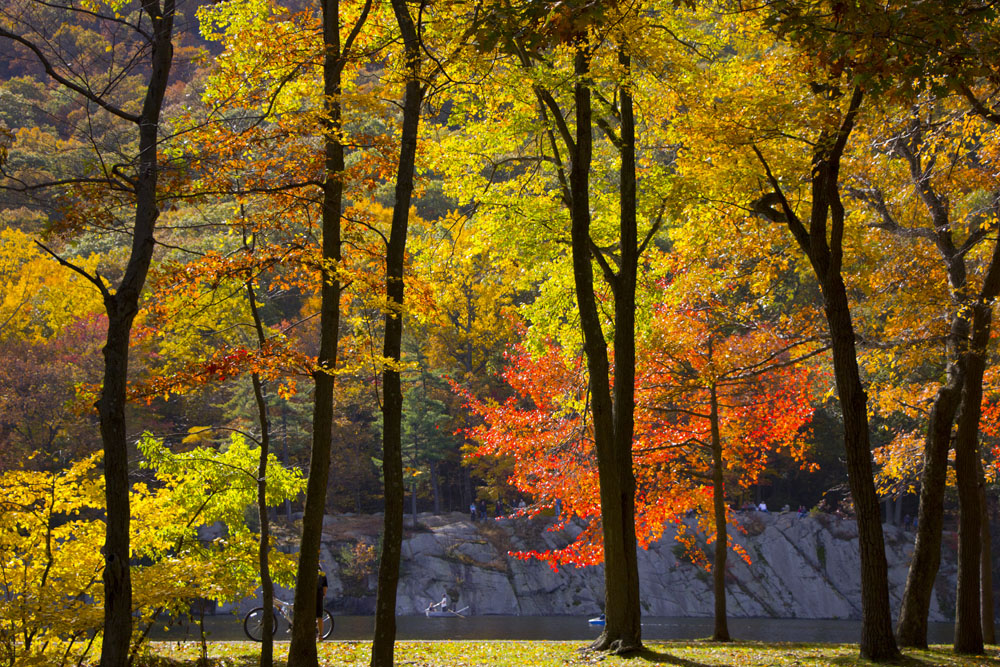Autumn colors on Bear Mountain New York