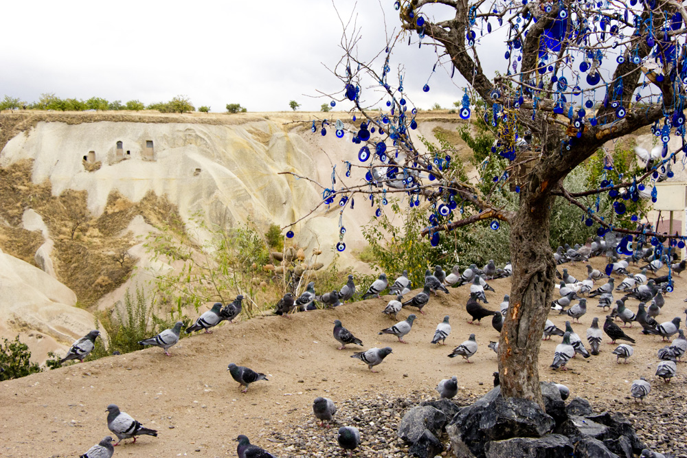 Evil eye tree over Pigeon Valley | Cappadocia, Turkey