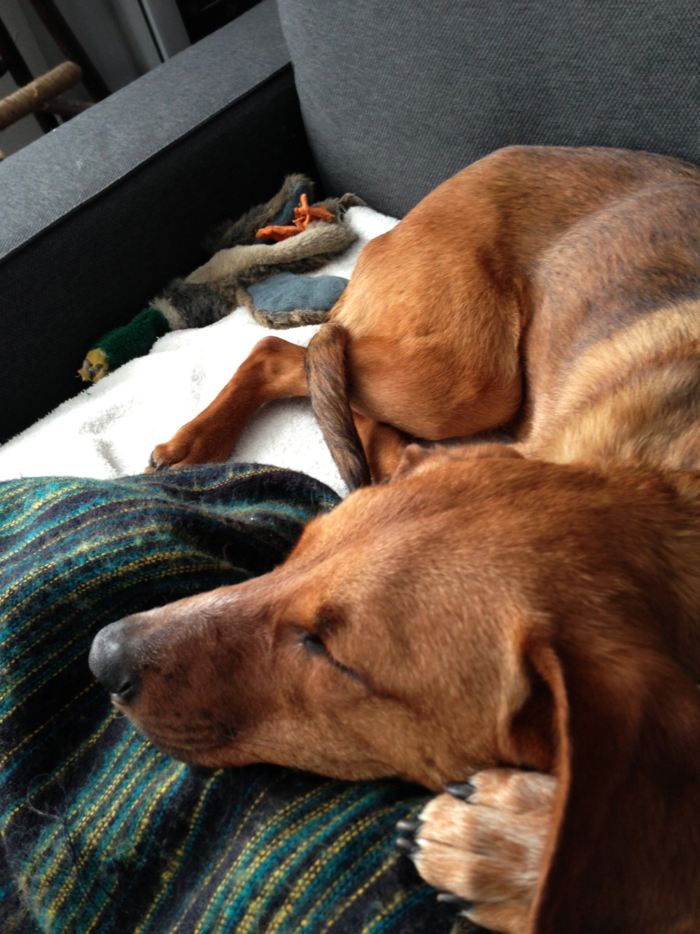 Nurse Bodie on the couch