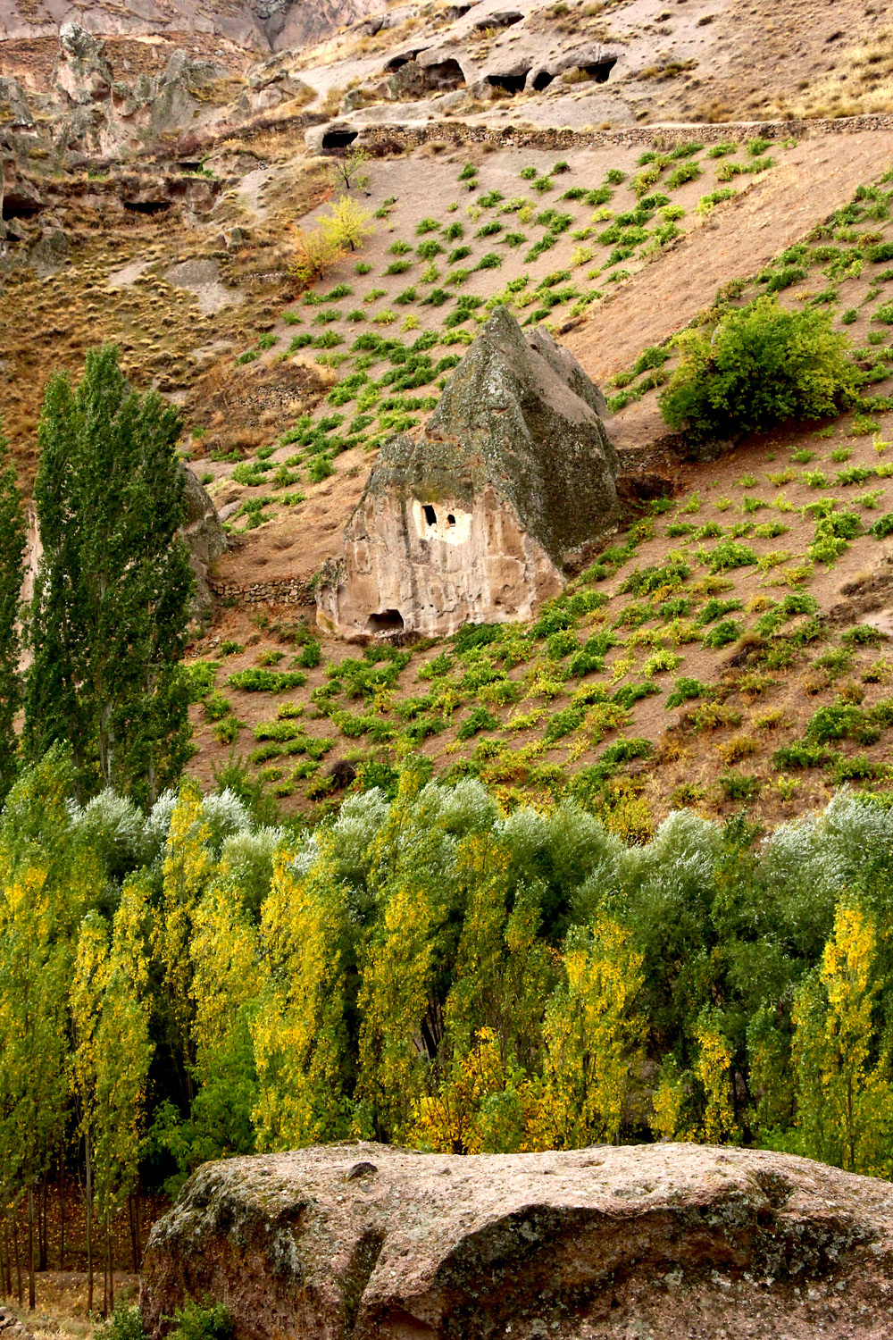 Vineyards and Fairy Chimneys | Cappadocia, Turkey