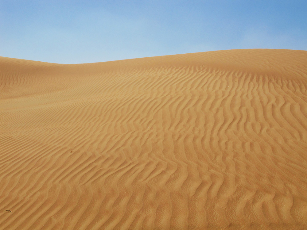 Patterns on the sand dunes | Dubai, UAE