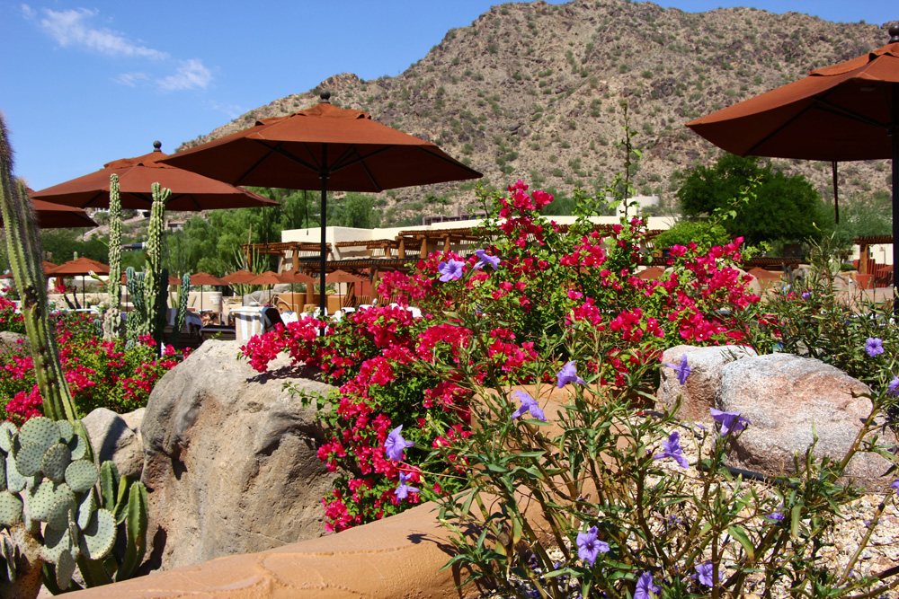 Poolside in the desert at the Camelback Inn, | Scottsdale, Arizona