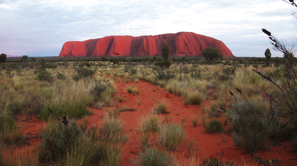 Red Uluru at sunrise | Ayers Rock, Australia