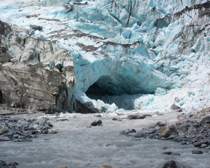 Fox Glacier New Zealand