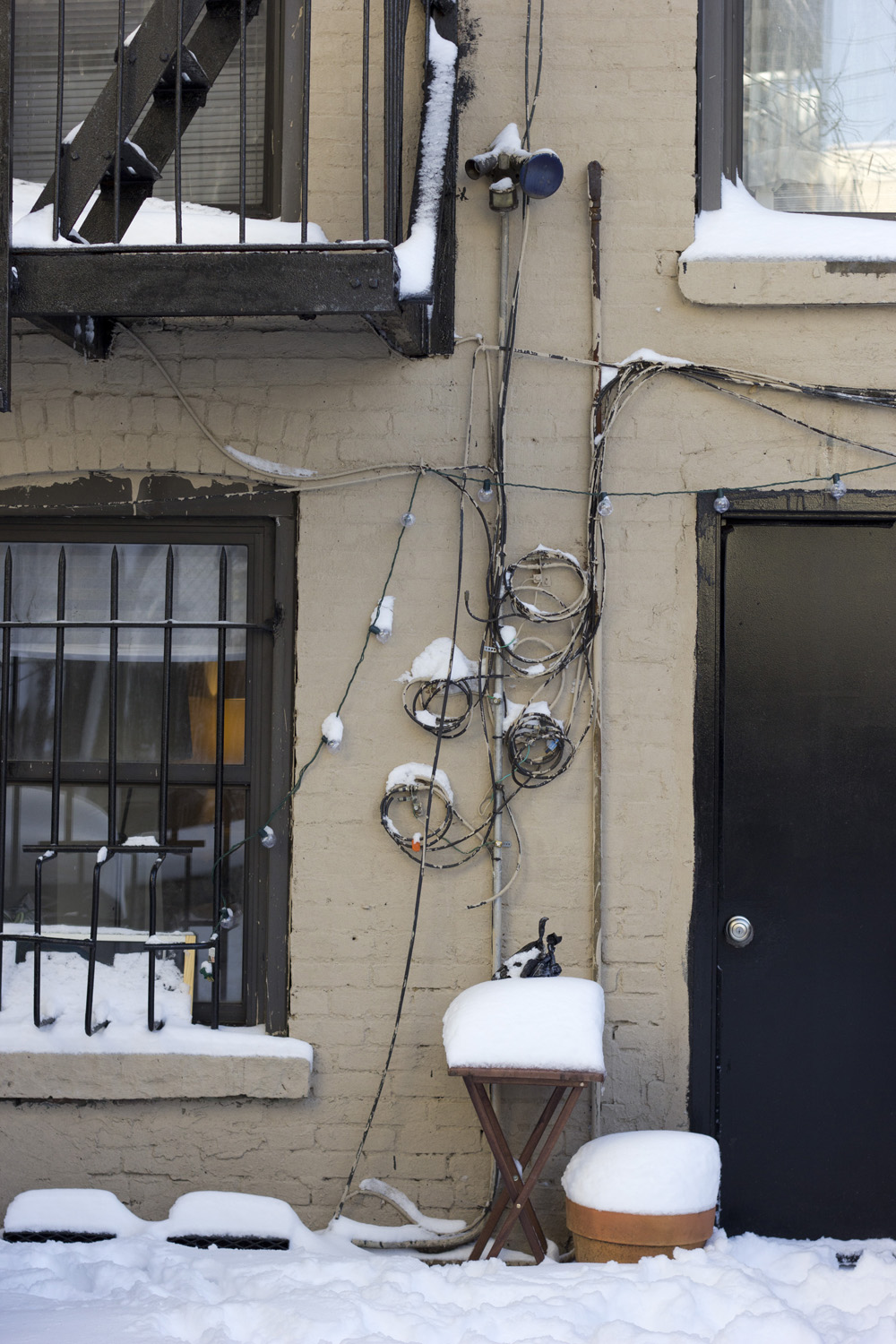 Backyard wires | Brooklyn