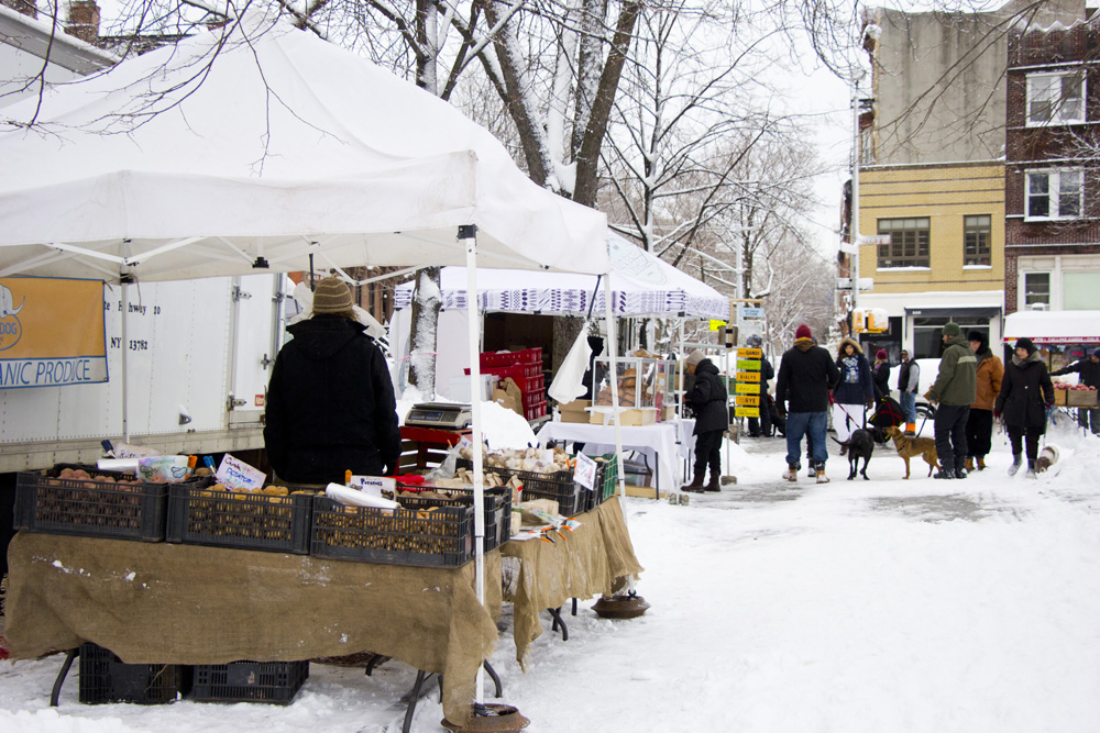 Snowstorm farmer's market | Fort Greene, Brooklyn_1